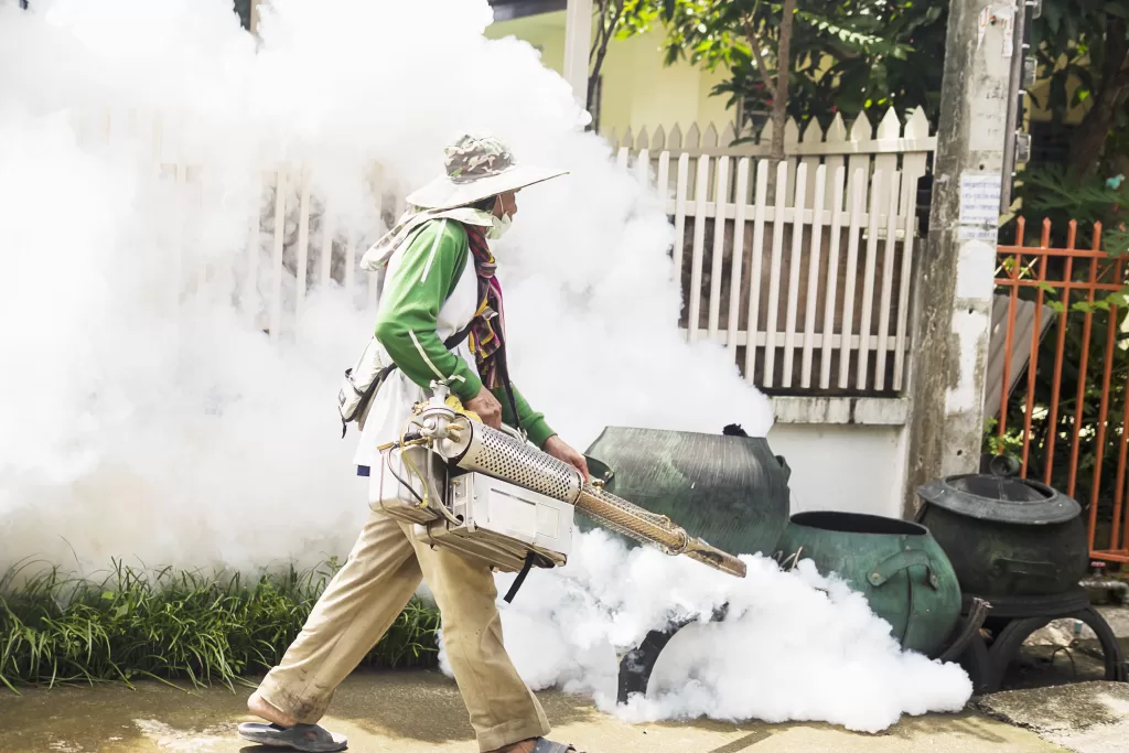 Professional mosquito fogging services in Malaysia to control mosquito populations and prevent the spread of mosquito-borne diseases. StayFresh Pest Control company provides reliable and efficient pest control services in Kuala Lumpur, Selangor, Negeri Sembilan, Johor, and Melaka.